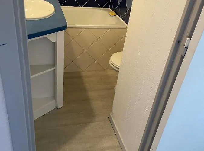 公寓 Magnifique 4 Personne A Deux Pas De La *